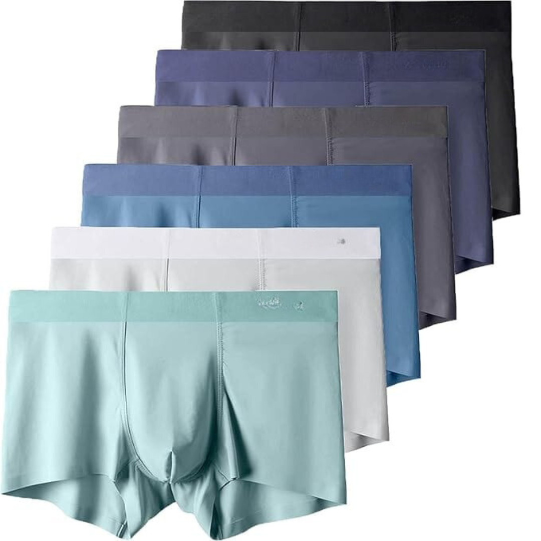 Premium Ice Silk Men's Underwear (Pack of 5)
