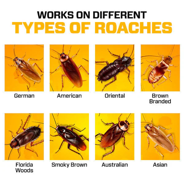 QuikCatch Cockroach Killer Gel