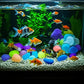 Premium Colorful Luminas Night Pebbles (100 Pcs)