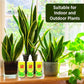 Japanese Organic Plant Boost Liquid Biofertilizer for All Plant and Crops (Pack of 3 + 3 FREE)