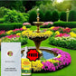Italian Wild Mix Flower Seeds Pack + Free Plant Growth Supplement