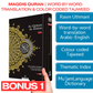 The 400 Words: Your First Step to Understanding the Quran