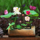 Japanese Micro Lotus Seeds - Natural Air Freshener cum Purifier