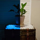 Premium Colorful Luminas Night Pebbles (100 Pcs)